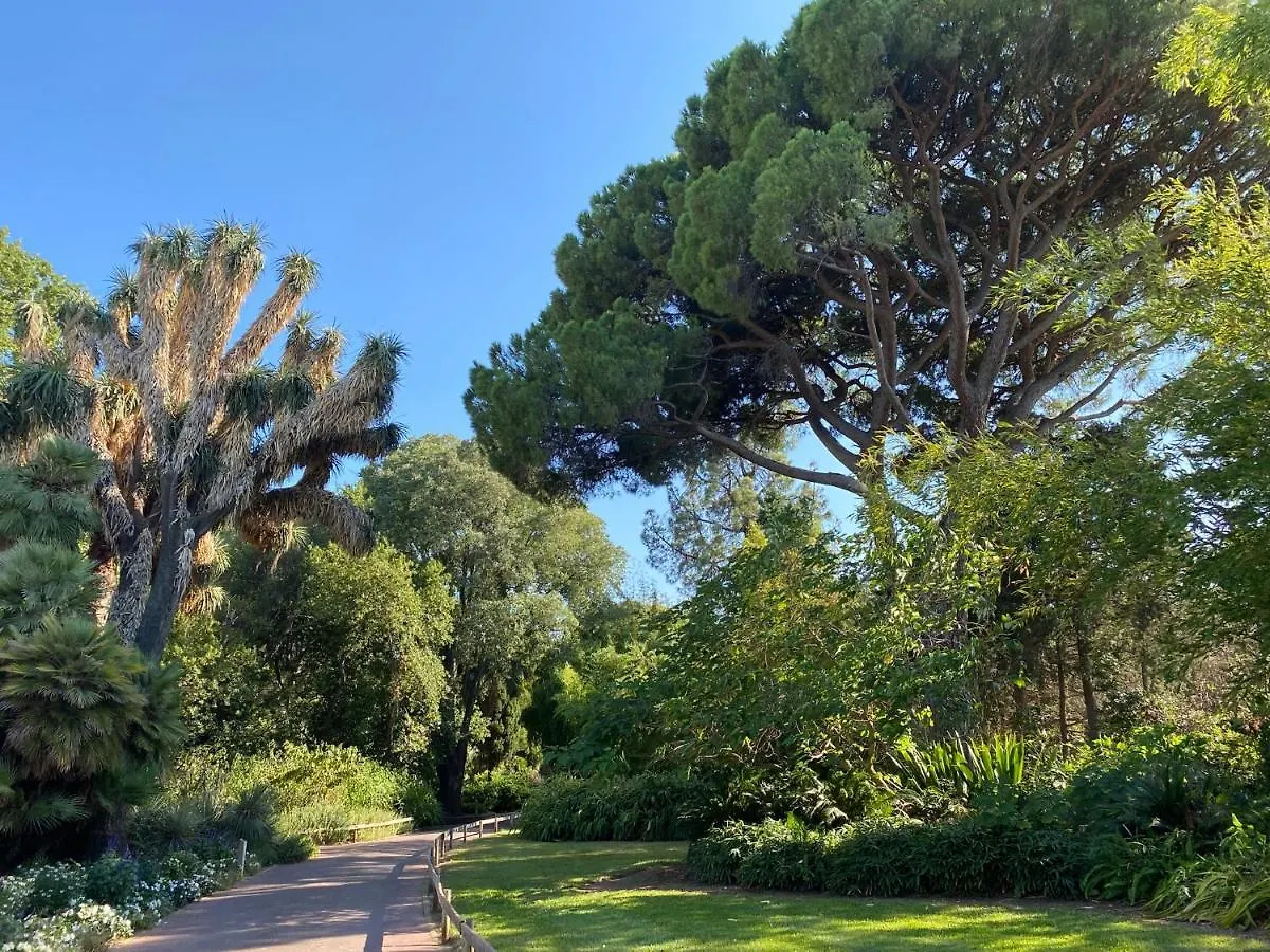 Apartment Cap Sud 83 Appart Vue Mer 200M Plages Hyeres